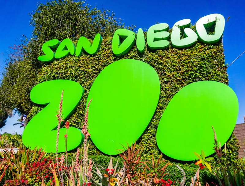 Balboa-Park-San-Diego-Zoo balboa park - san diego zoo