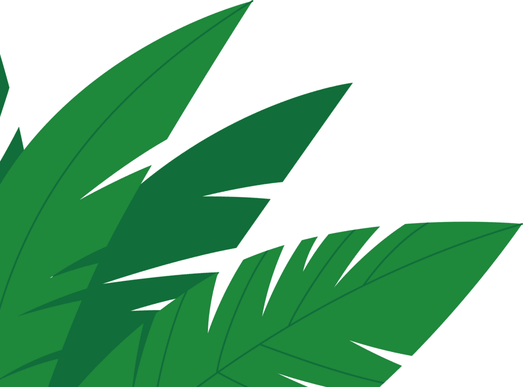 design element palm leave