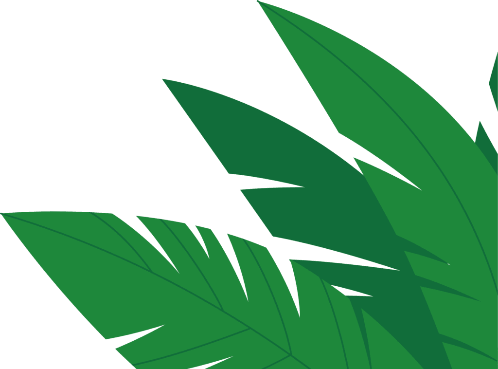 design element palm leaves